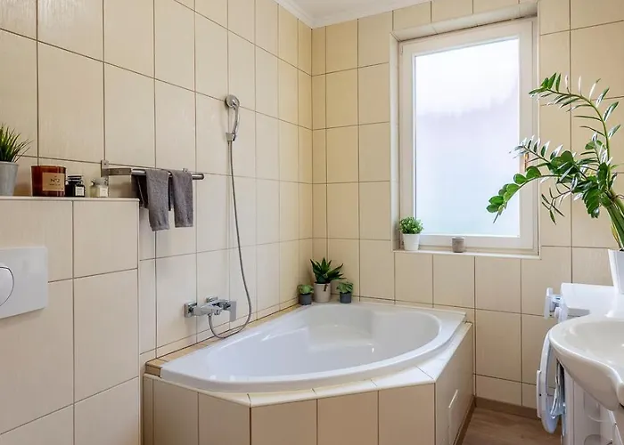 Apartment Birdie Zalacsány